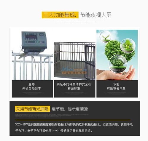 溫州樂恒非標定制養殖場畜養秤專用稱重設備 高精度電子衡器的專業應用